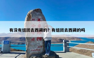 有没有组团去西藏的？有组团去西藏的吗