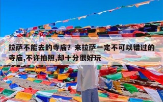 拉萨不能去的寺庙？来拉萨一定不可以错过的寺庙,不许拍照,却十分很好玩