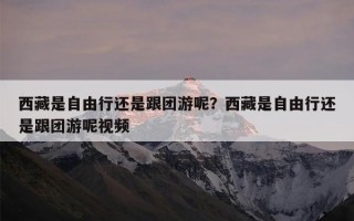 西藏是自由行还是跟团游呢？西藏是自由行还是跟团游呢视频