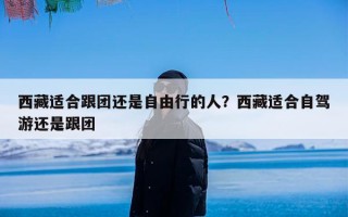 西藏适合跟团还是自由行的人？西藏适合自驾游还是跟团