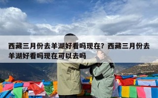 西藏三月份去羊湖好看吗现在？西藏三月份去羊湖好看吗现在可以去吗