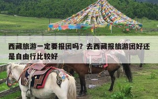 西藏旅游一定要报团吗？去西藏报旅游团好还是自由行比较好