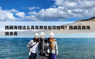 西藏海拔这么高高原反应可怕吗？西藏高原海拔多高