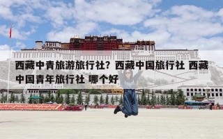 西藏中青旅游旅行社？西藏中国旅行社 西藏中国青年旅行社 哪个好