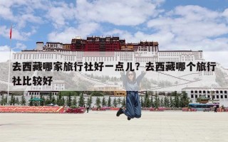 去西藏哪家旅行社好一点儿？去西藏哪个旅行社比较好