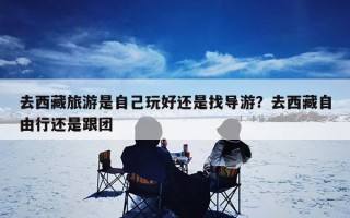 去西藏旅游是自己玩好还是找导游？去西藏自由行还是跟团