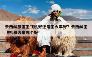 去西藏旅游坐飞机好还是坐火车好？去西藏坐飞机和火车哪个好