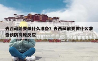 去西藏前要做什么准备？去西藏前要做什么准备预防高原反应