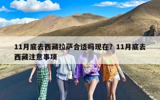 11月底去西藏拉萨合适吗现在？11月底去西藏注意事项