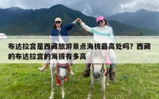 布达拉宫是西藏旅游景点海拔最高处吗？西藏的布达拉宫的海拔有多高