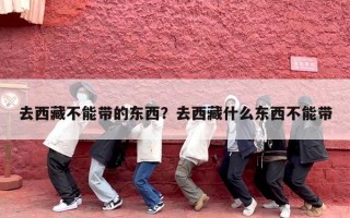 去西藏不能带的东西？去西藏什么东西不能带