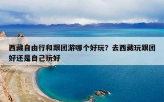 西藏自由行和跟团游哪个好玩？去西藏玩跟团好还是自己玩好
