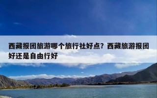 西藏报团旅游哪个旅行社好点？西藏旅游报团好还是自由行好