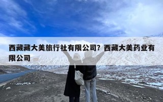 西藏藏大美旅行社有限公司？西藏大美药业有限公司