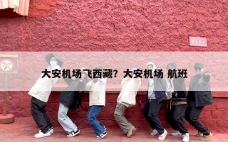 大安机场飞西藏？大安机场 航班
