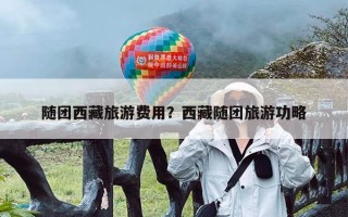 随团西藏旅游费用？西藏随团旅游功略