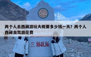 两个人去西藏游玩大概要多少钱一天？两个人西藏自驾游花费