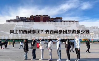 网上的西藏参团？去西藏参团旅游多少钱