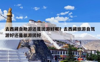 去西藏自助游还是团游好呢？去西藏旅游自驾游好还是旅游团好