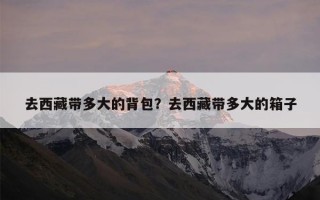 去西藏带多大的背包？去西藏带多大的箱子