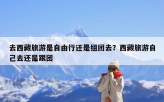 去西藏旅游是自由行还是组团去？西藏旅游自己去还是跟团