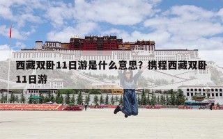 西藏双卧11日游是什么意思？携程西藏双卧11日游