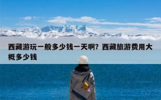 西藏游玩一般多少钱一天啊？西藏旅游费用大概多少钱