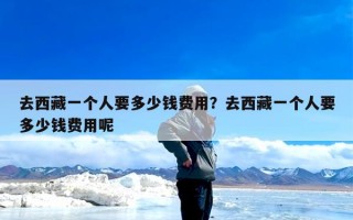 去西藏一个人要多少钱费用？去西藏一个人要多少钱费用呢