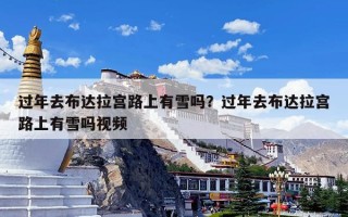 过年去布达拉宫路上有雪吗？过年去布达拉宫路上有雪吗视频