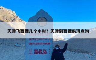 天津飞西藏几个小时？天津到西藏航班查询