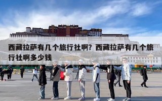 西藏拉萨有几个旅行社啊？西藏拉萨有几个旅行社啊多少钱