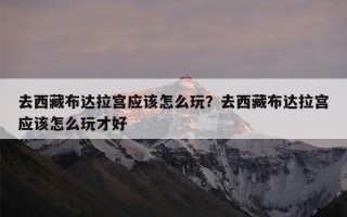 去西藏布达拉宫应该怎么玩？去西藏布达拉宫应该怎么玩才好