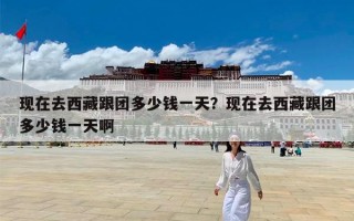 现在去西藏跟团多少钱一天？现在去西藏跟团多少钱一天啊