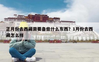 正月份去西藏需要备些什么东西？1月份去西藏怎么样