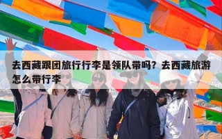 去西藏跟团旅行行李是领队带吗？去西藏旅游怎么带行李