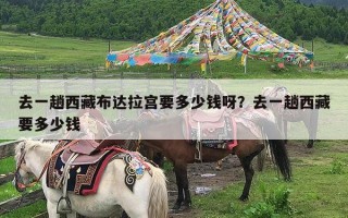 去一趟西藏布达拉宫要多少钱呀？去一趟西藏要多少钱