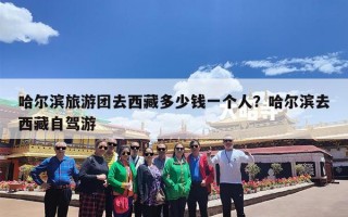 哈尔滨旅游团去西藏多少钱一个人？哈尔滨去西藏自驾游