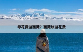 零花费游西藏？西藏旅游花费