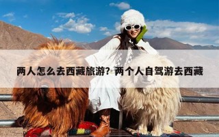 两人怎么去西藏旅游？两个人自驾游去西藏
