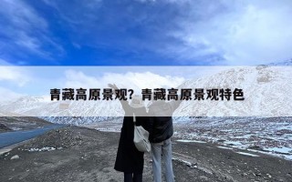 青藏高原景观？青藏高原景观特色