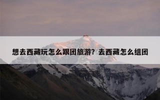 想去西藏玩怎么跟团旅游？去西藏怎么组团