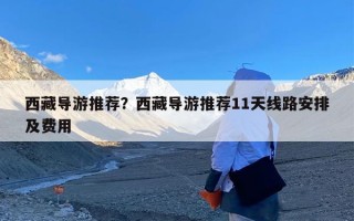 西藏导游推荐？西藏导游推荐11天线路安排及费用