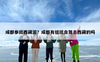 成都参团西藏游？成都有组团自驾去西藏的吗