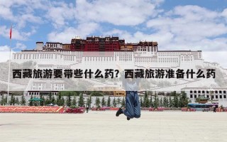 西藏旅游要带些什么药？西藏旅游准备什么药