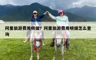 阿里旅游费用明细？阿里旅游费用明细怎么查询
