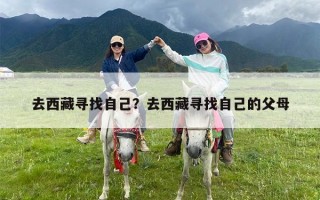 去西藏寻找自己？去西藏寻找自己的父母