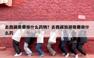 去西藏需要带什么药物？去西藏旅游需要带什么药