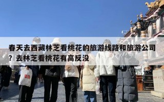 春天去西藏林芝看桃花的旅游线路和旅游公司？去林芝看桃花有高反没