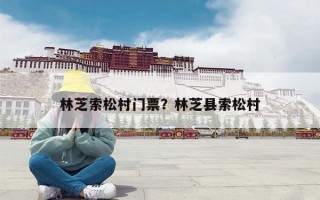 林芝索松村门票？林芝县索松村