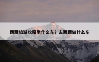 西藏旅游攻略坐什么车？去西藏做什么车